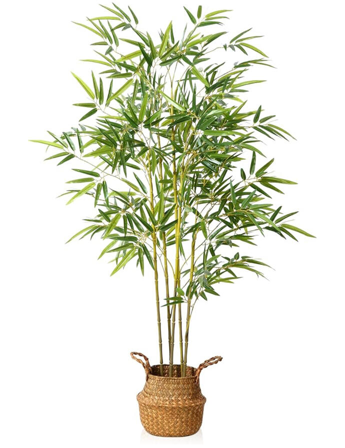 Emily’s Home Decor Finds